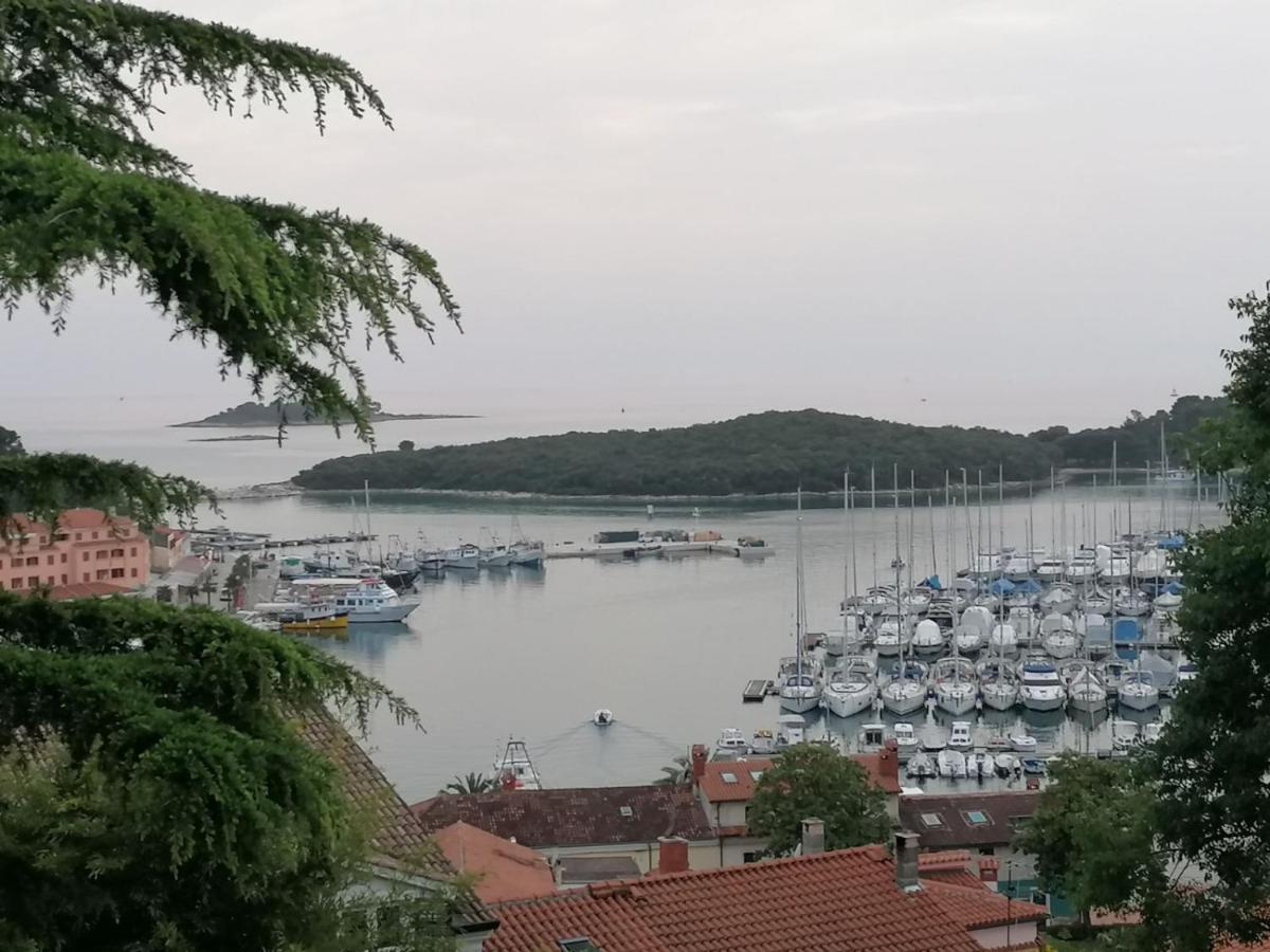 Apartman Natali Vrsar Buitenkant foto